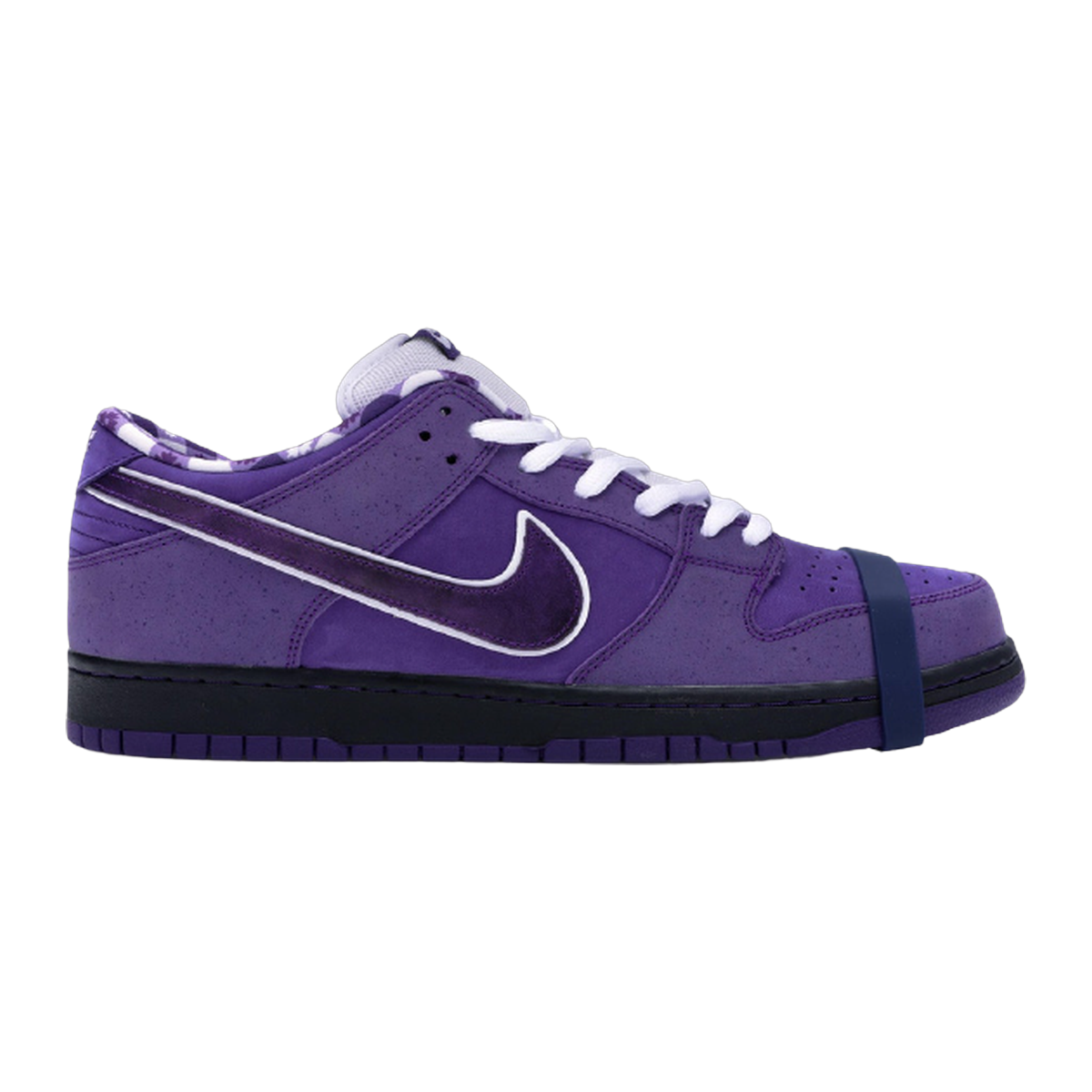 Concepts SB Dunk Low Purple Lobster (Special Box) – THE MINTED PROJECT