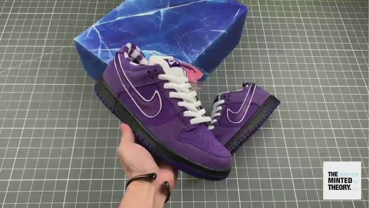 Concepts SB Dunk Low Purple Lobster Special Box