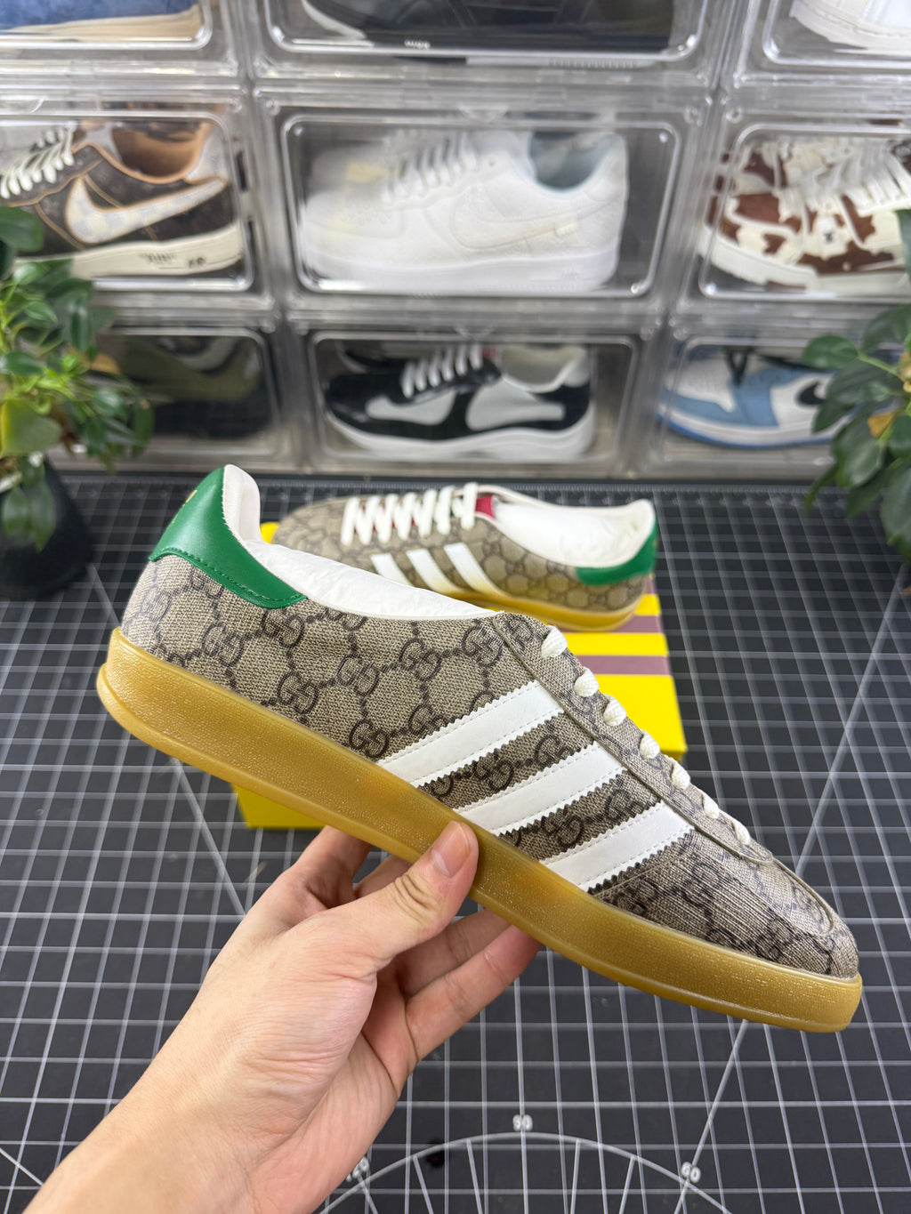 Gucci x Gazelle Beige Monogram