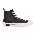 B23 High 'Black' CD Diamond