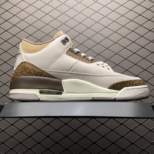 AJ3 Palomino