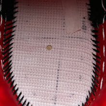 Load image into Gallery viewer, SB Dunk Low WT-Paul

