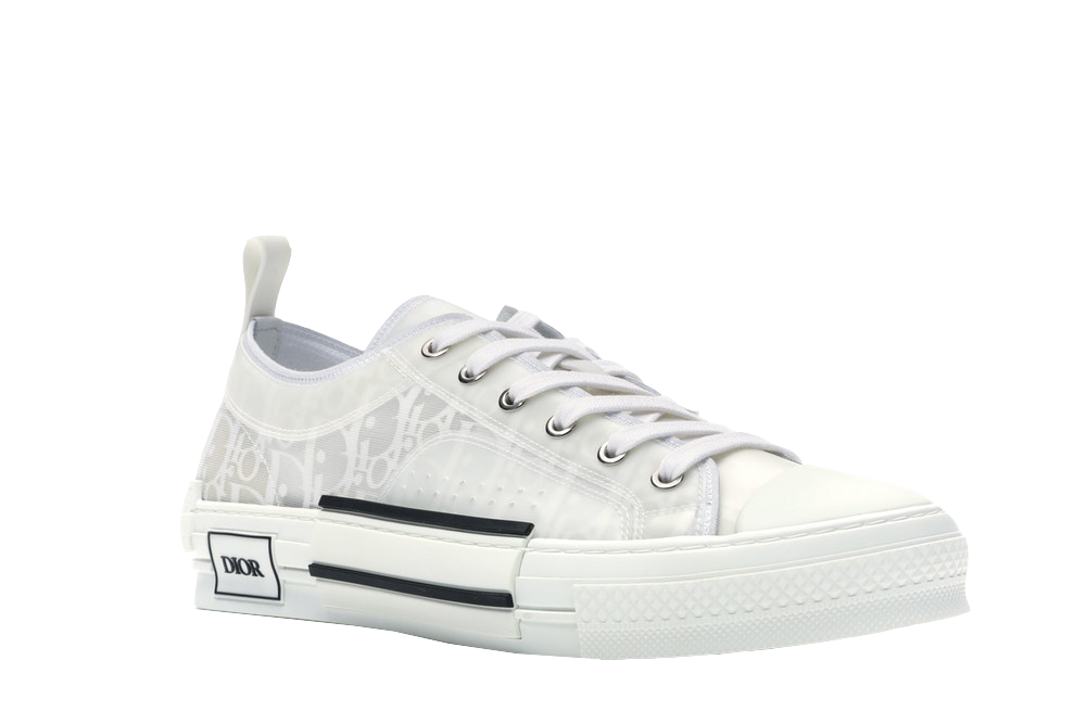 b23 low top dior