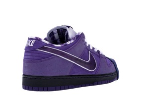 Concepts SB Dunk Low Purple Lobster Special Box